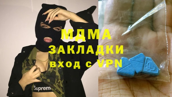 шишки Дмитриев